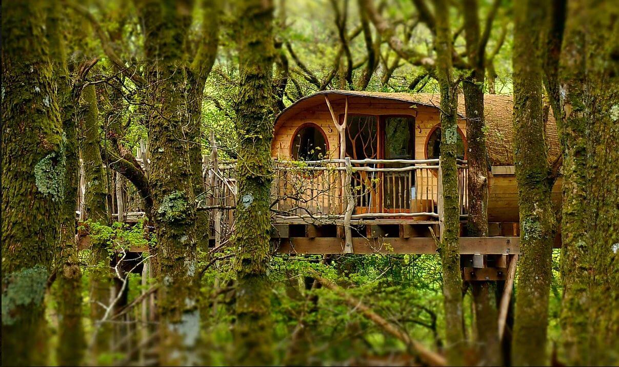 Living-Room Treehouses, Wales