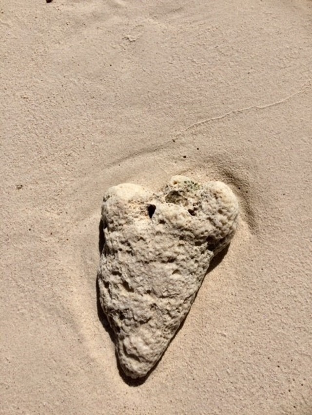 Finkornet sand på stand i Karibien