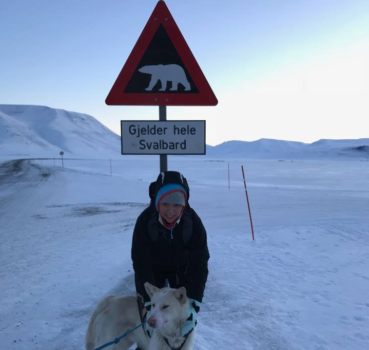 Husky på Svalbard foran isbjørn-skilt