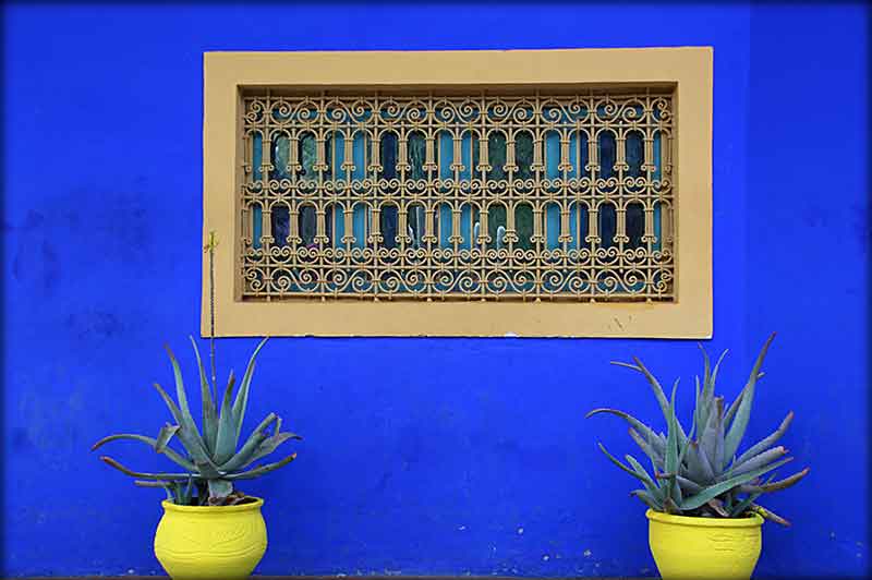 En sterk blå vegg og gule blomsterpotter i Marrakech