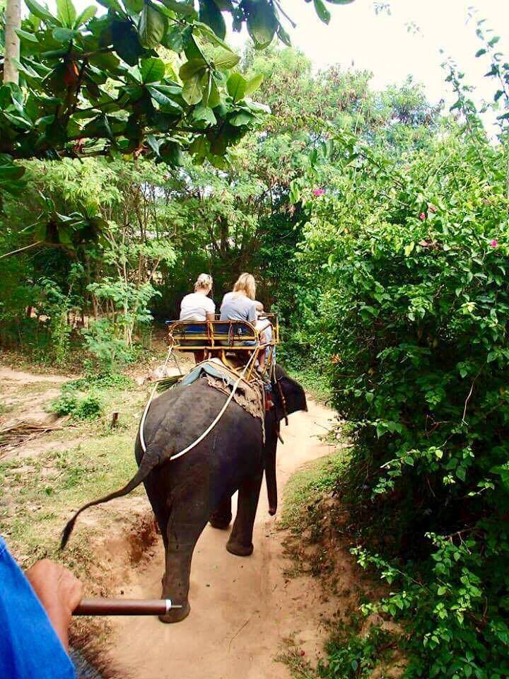 Elefantriding i Thailand