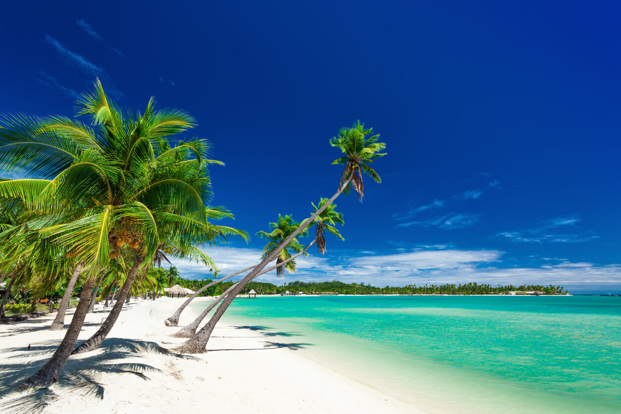 Palmetrær over kritthvit sand på Fiji