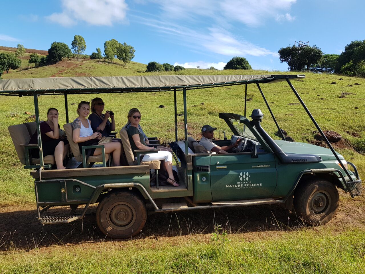Grønt landskap med safaribil