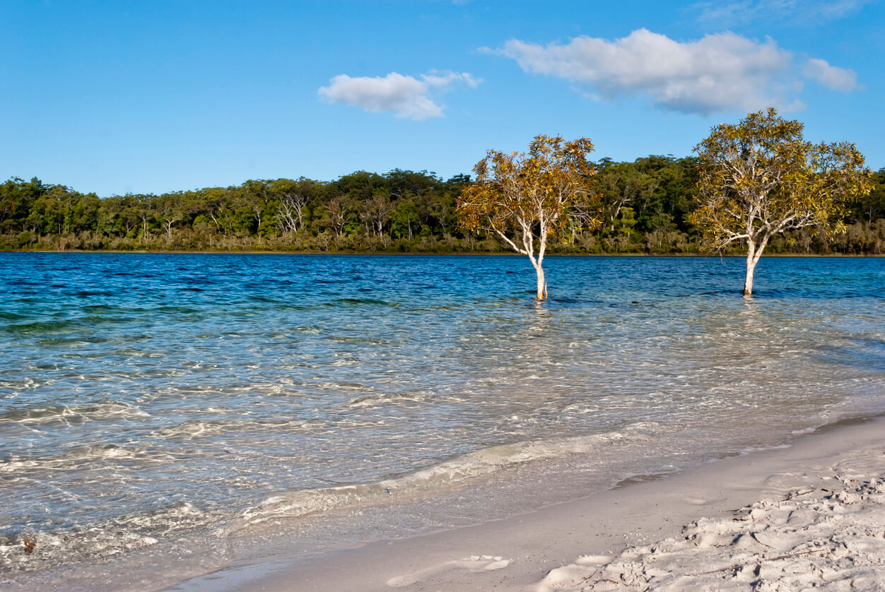 Lake McKenzie, Fraser Island, Australia
