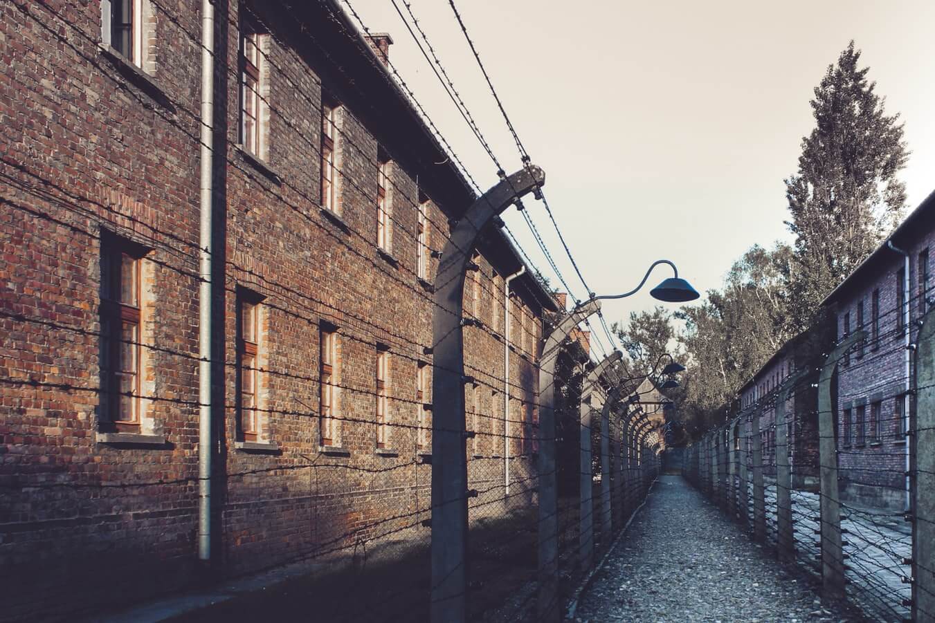 Bilde av Auschwitz