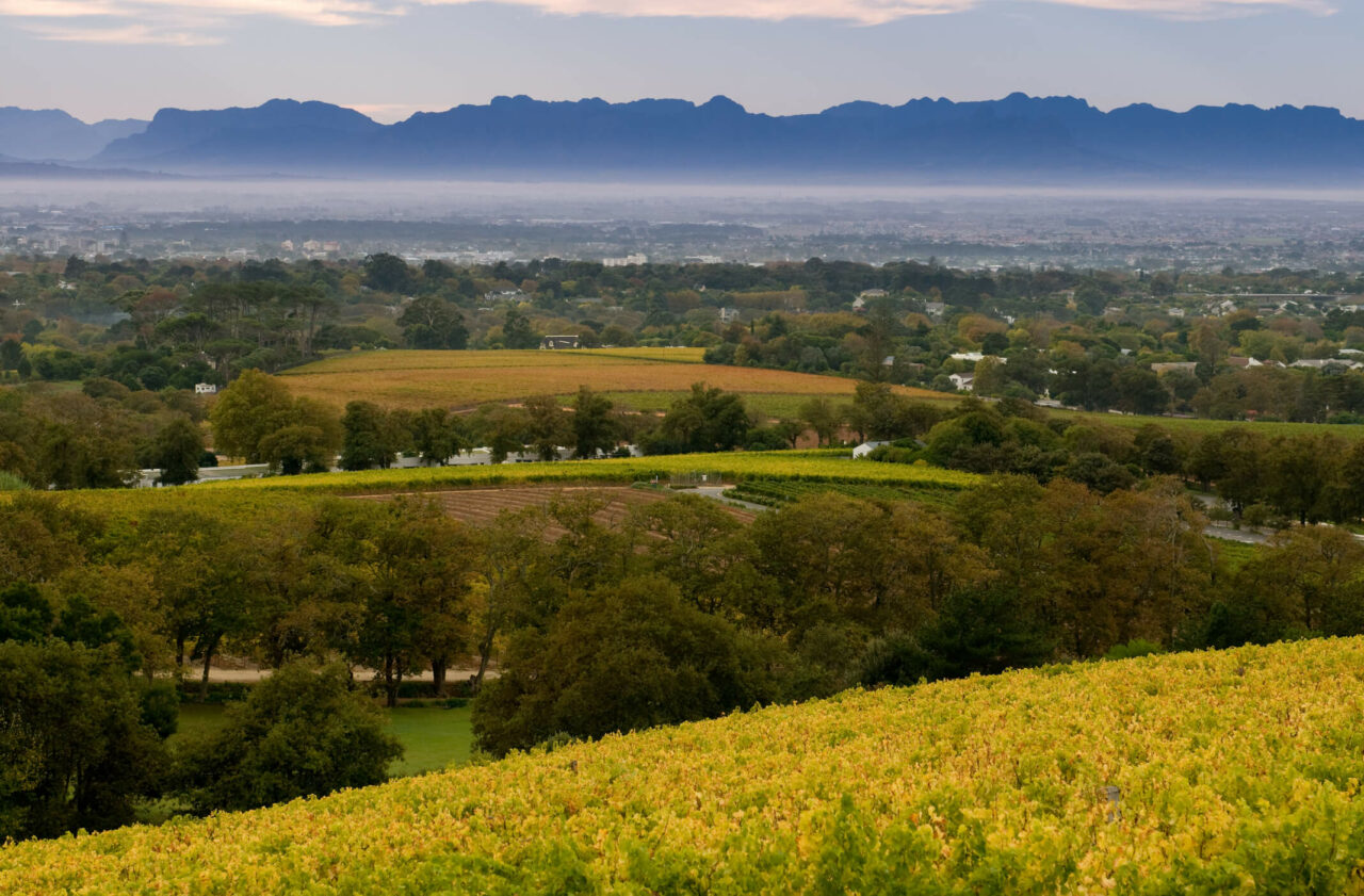 Utsikt over Cape Town fra vingården Groot Constantia