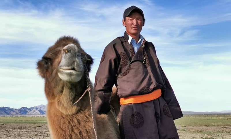 Den stolte kameleier, Mongolia