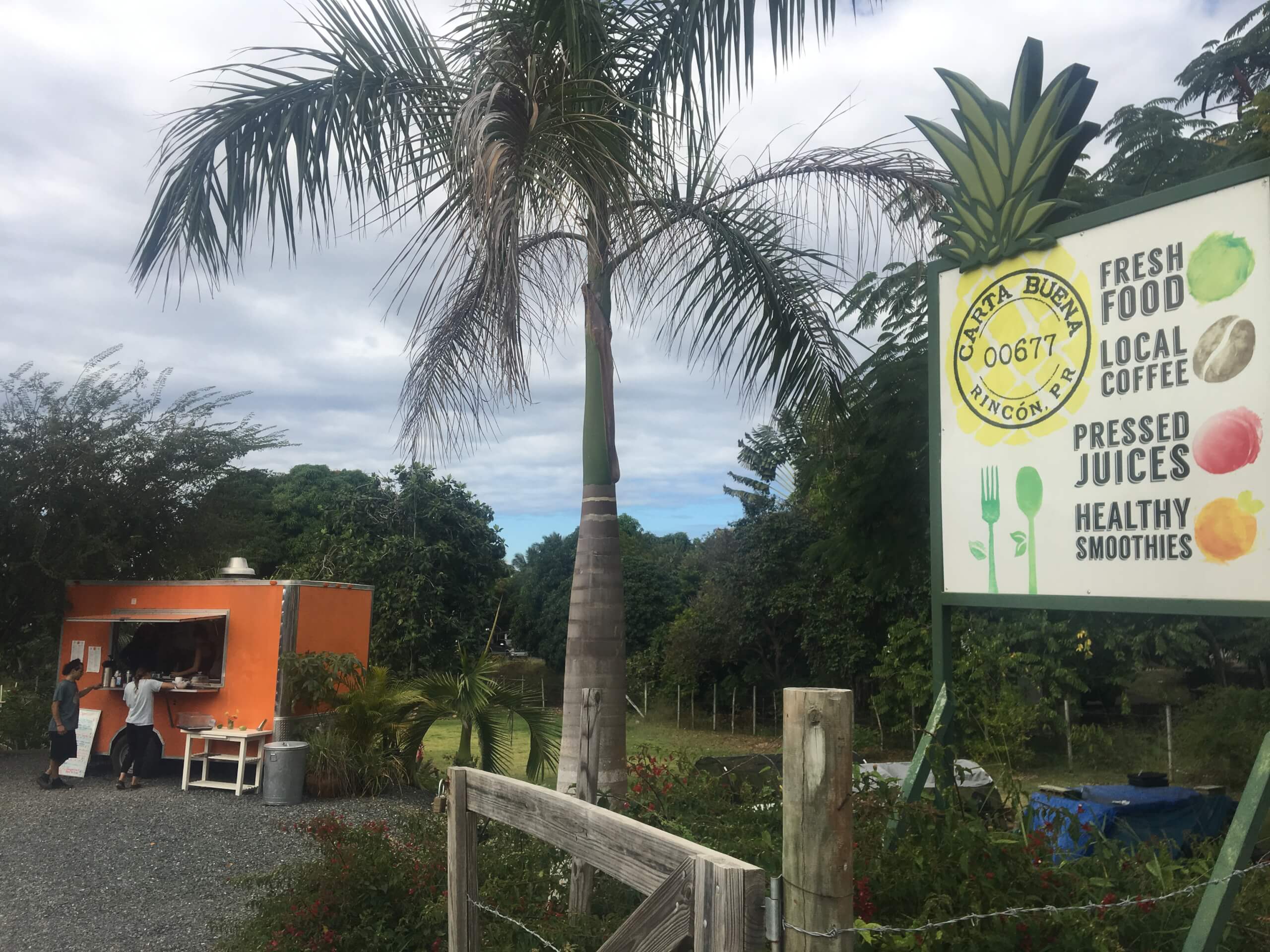 Den lokale smoothiesjappa i Rincon, Puerto Rico