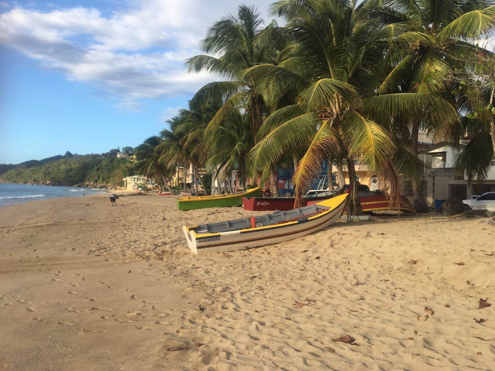 Stranden Rincon, Puerto Rico