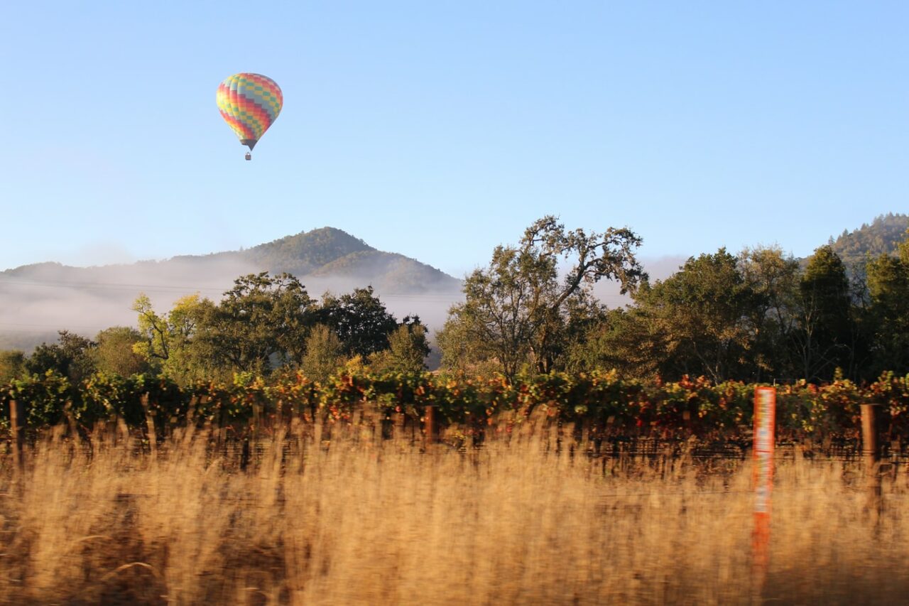 Luftballong over vinranker