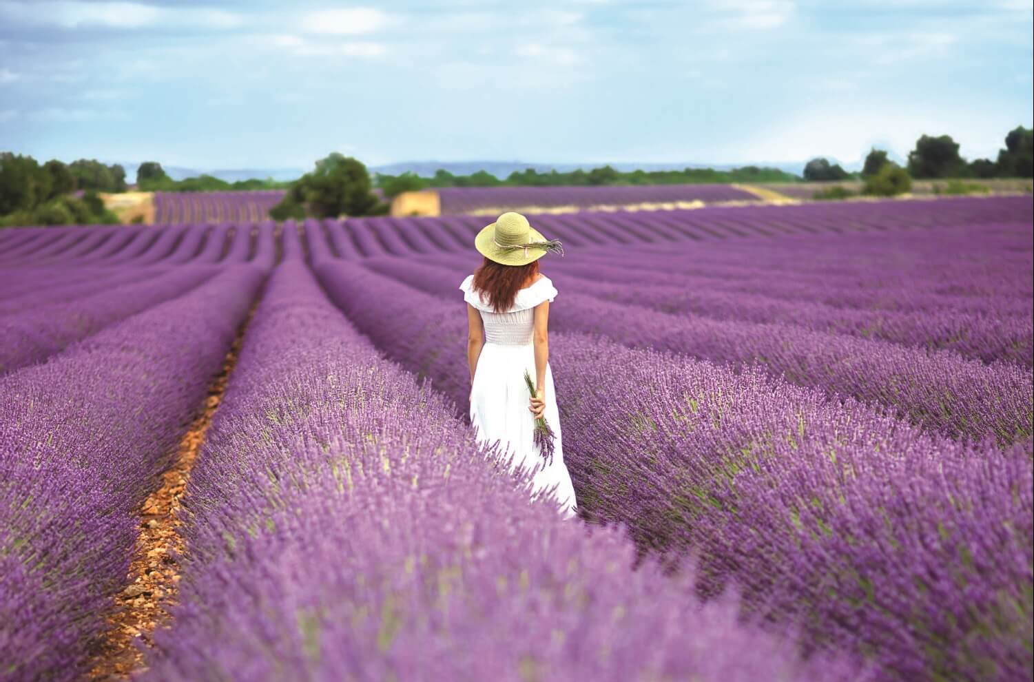 Kvinne går i lilla åker i Provence