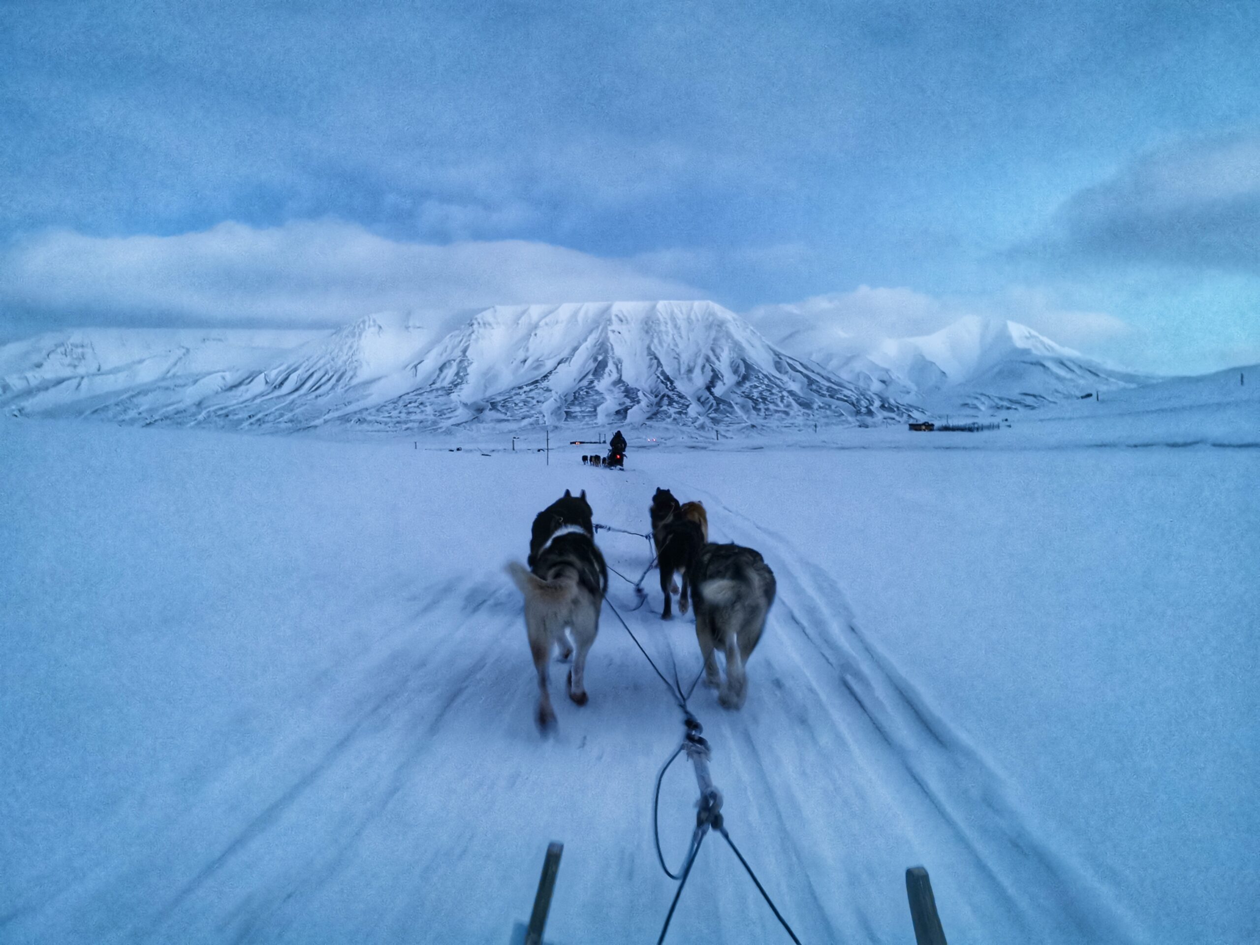 Hundespann på Svalbard