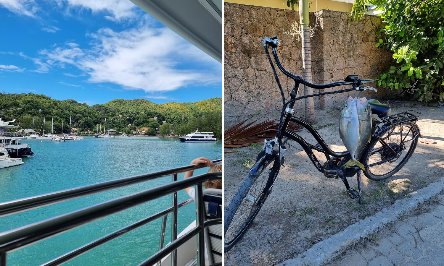 Cat Cocos Ferry og sykkel på La Digue, Seychellene