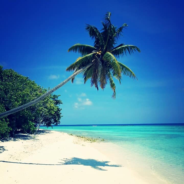 Hvite sandstrender på Maldivene