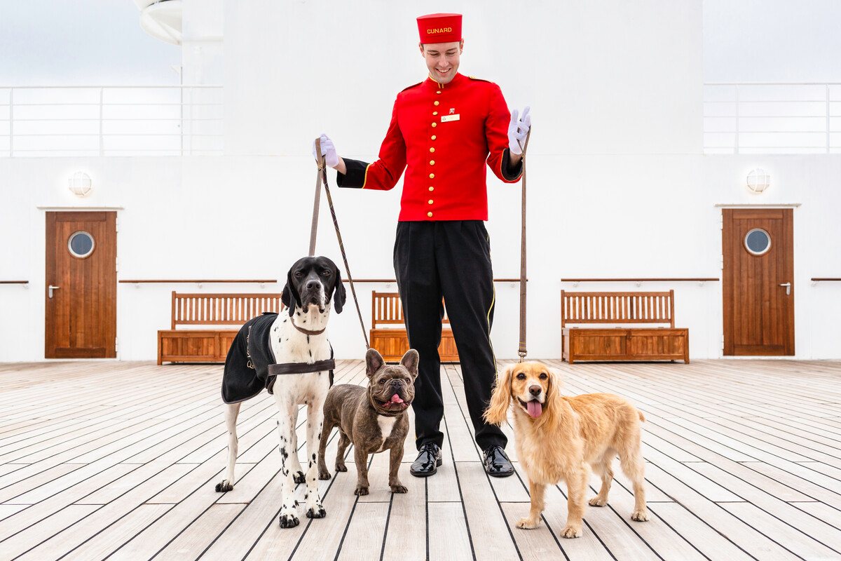 En av Cunards bellboys står på dekk utenfor kennelen om bord, med tre hunder. Foto.