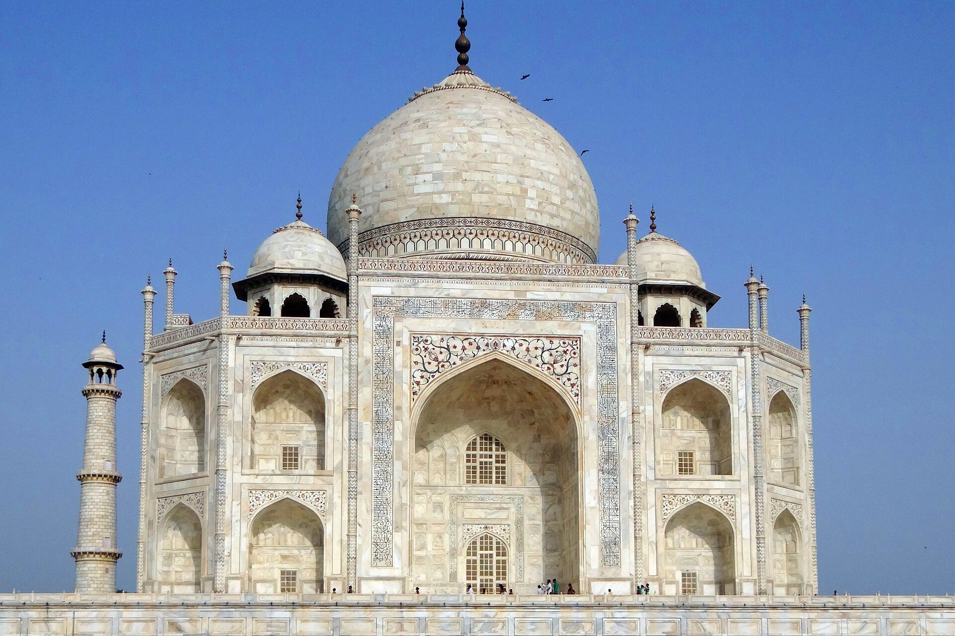 Nærbilde av de flotte detaljene på Taj Mahal