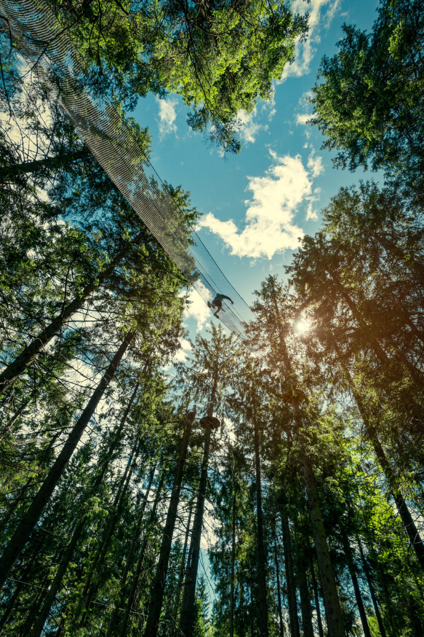 Bilde tatt fra bakken og opp i trærne hvor en person går over en hengebro i en klatrepark. Foto