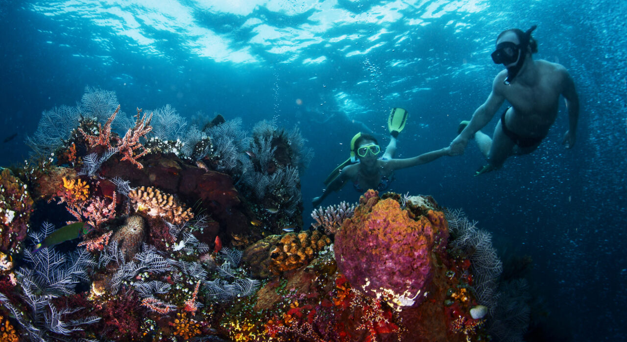 Par snorkler sammen over korallrev. Foto