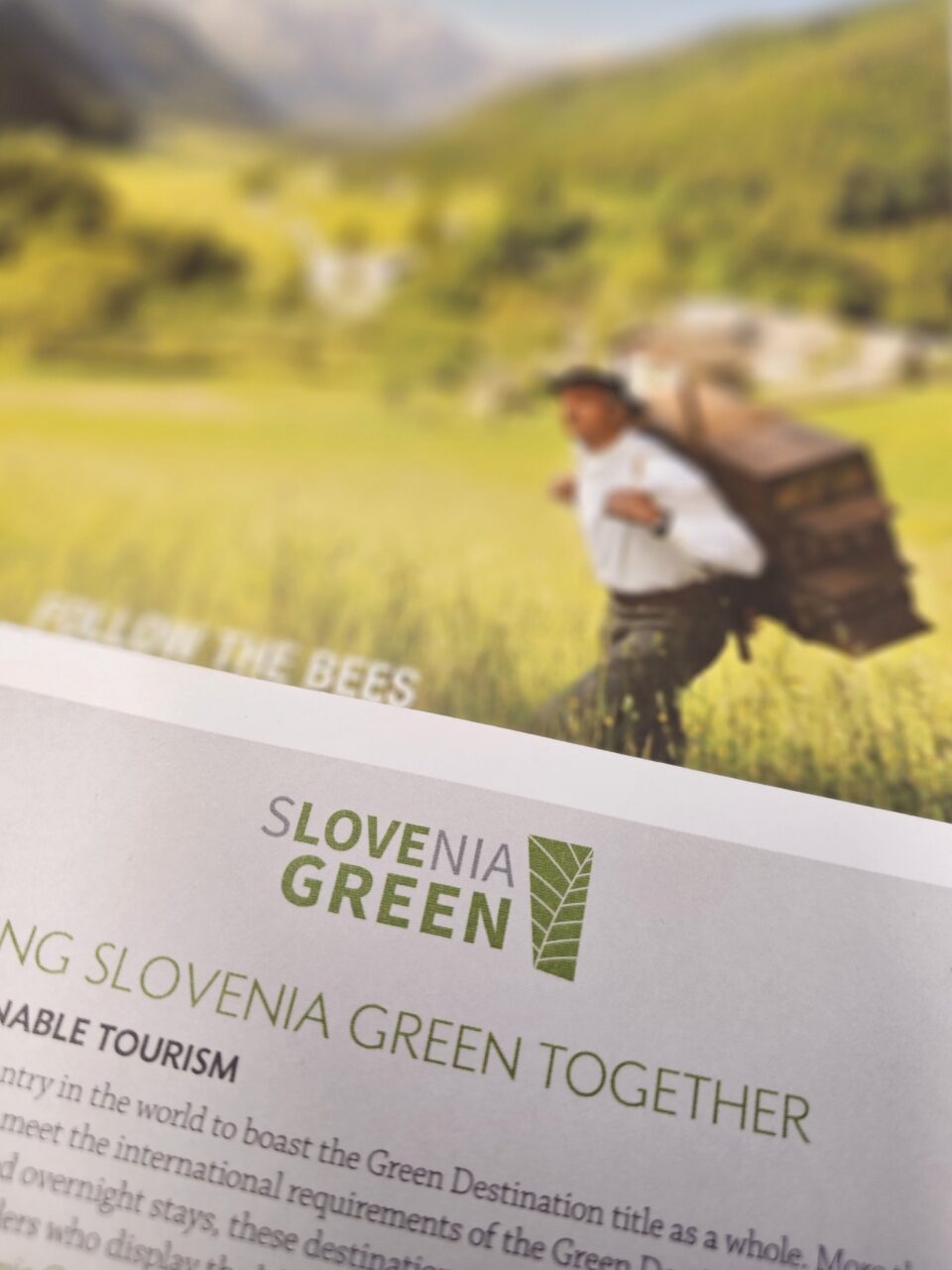 Logoen til Slovenia Green. Foto