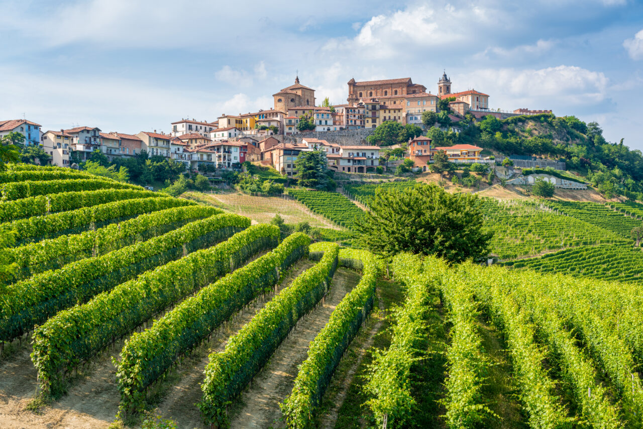 Landsbyen La Morra ligger på høyde i område med grønne vinranker. Foto