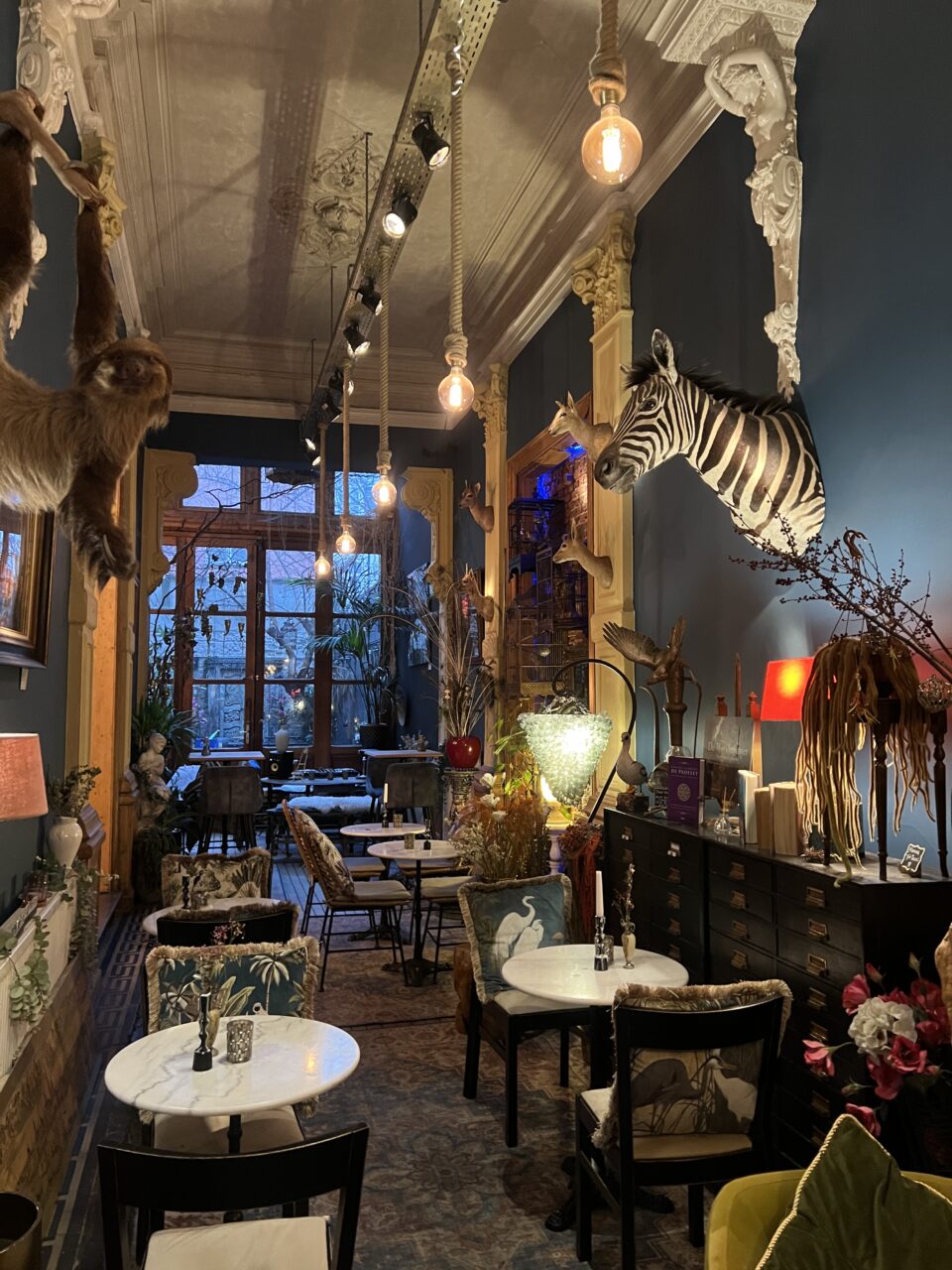 En fargerik, innredet restaurant med et zebrahode som stikker ut av veggen i Antwerpen, Belgia. Foto
