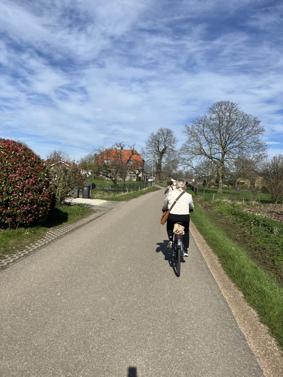 En dame som sykler på en landevei i Nijmegen, Nederland. Foto
