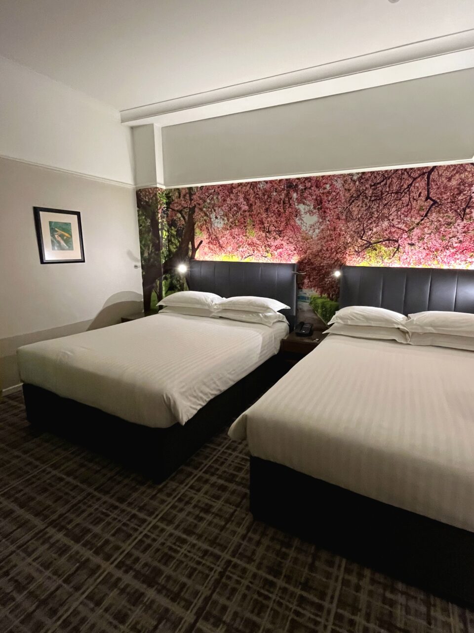Hotellrom med freshe farger og to doble senger. Foto