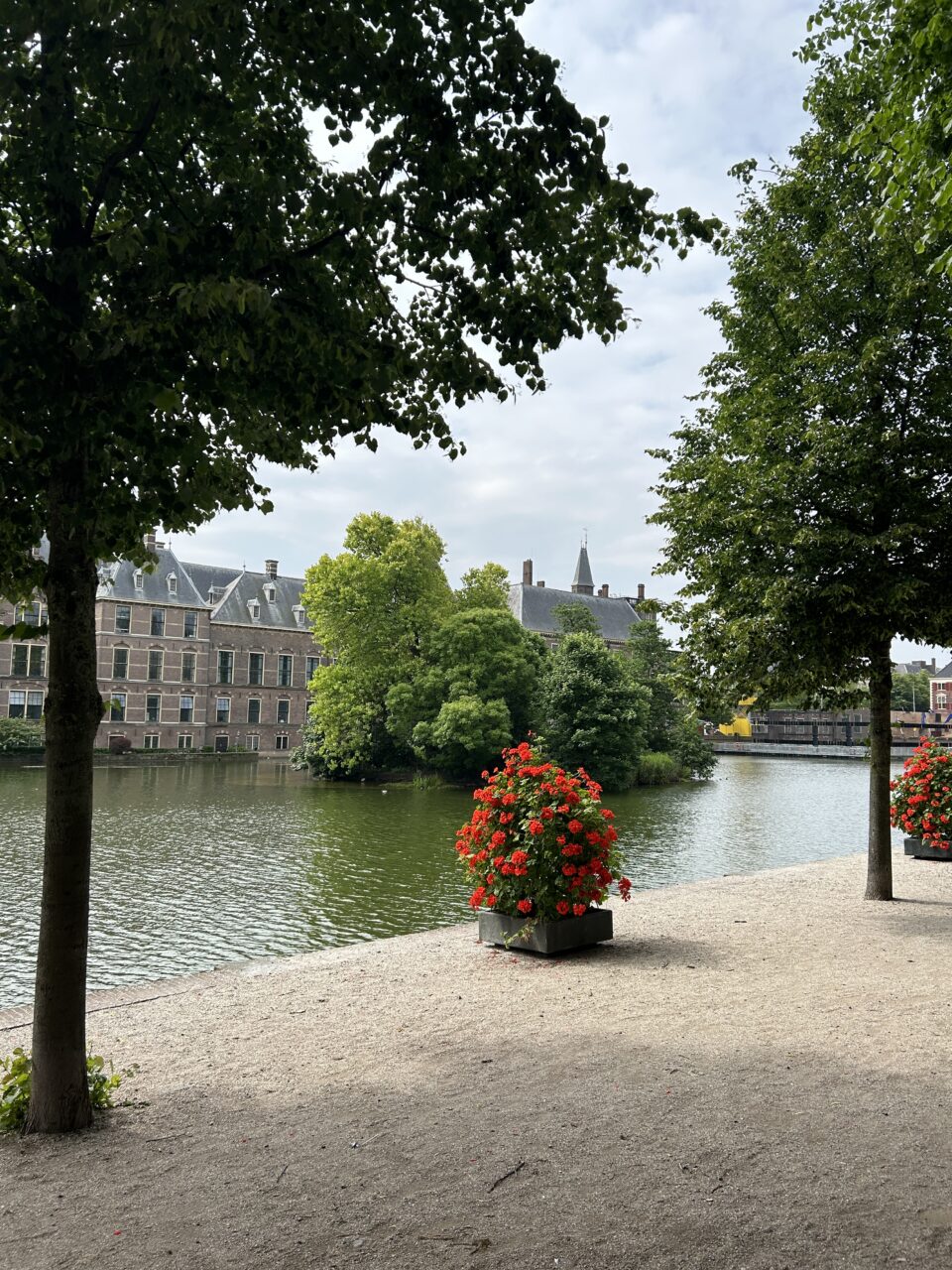 Kanal med trær og planter. Foto