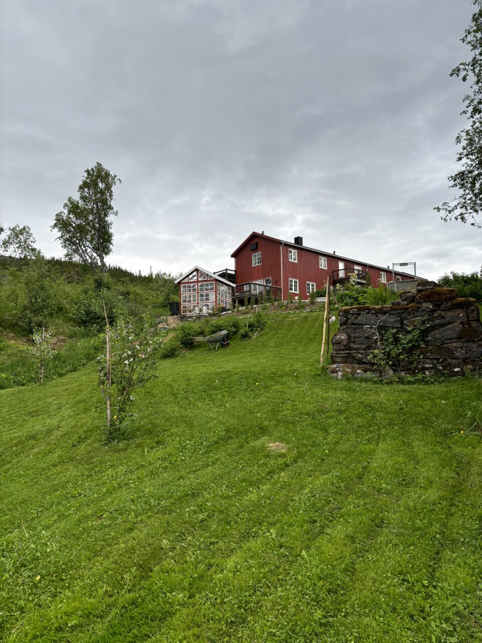 Stor gressplen med gårdshus og drivhus. Foto