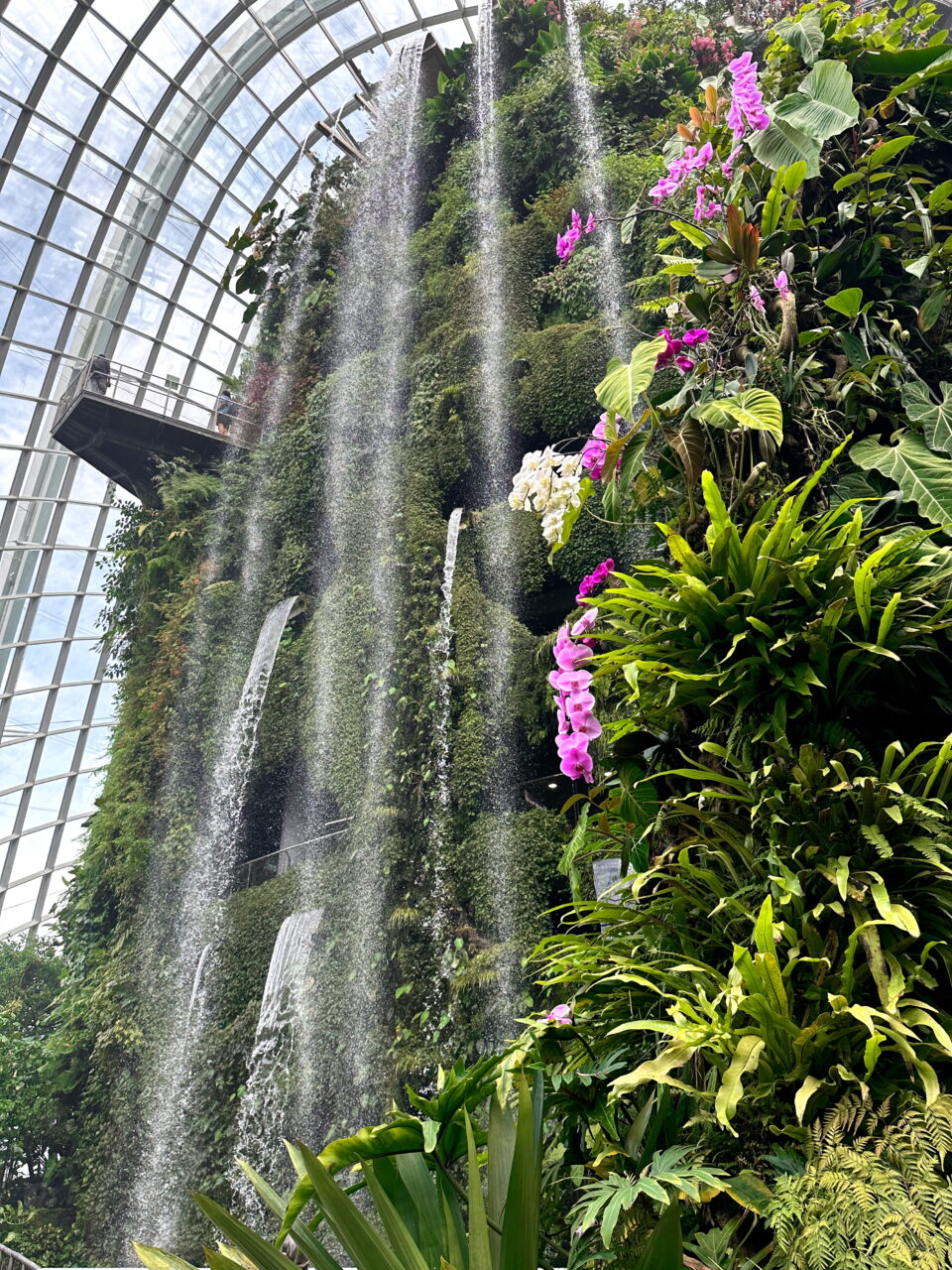 En imponerende innendørs foss i Gardens by the Bay, omgitt av grønn vegetasjon og fargerike orkidéblomster. Foto